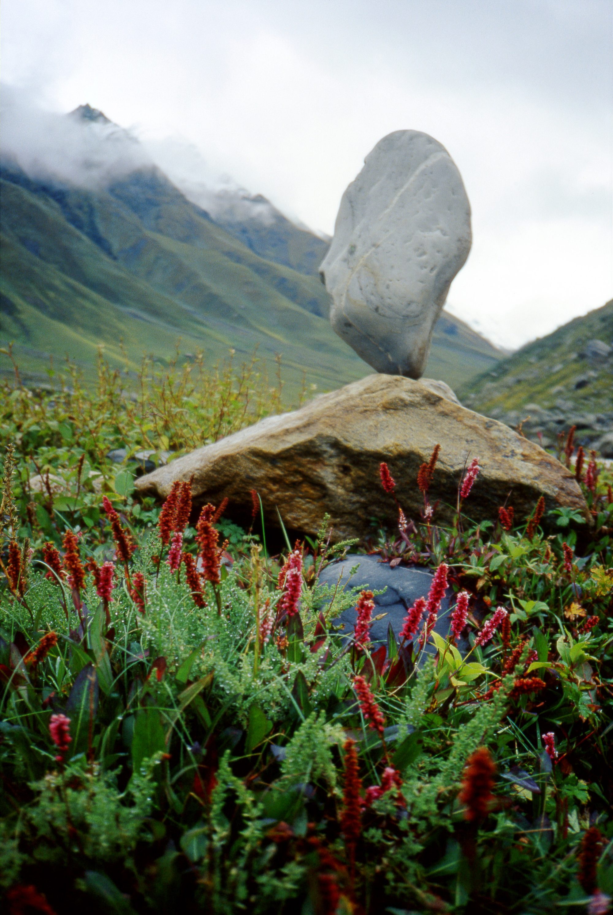 Act of Balance, image 3
