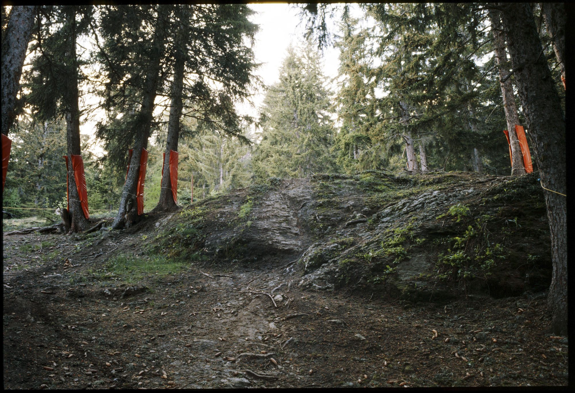 Impacts — Landscapes in a Changing Climate, image 20