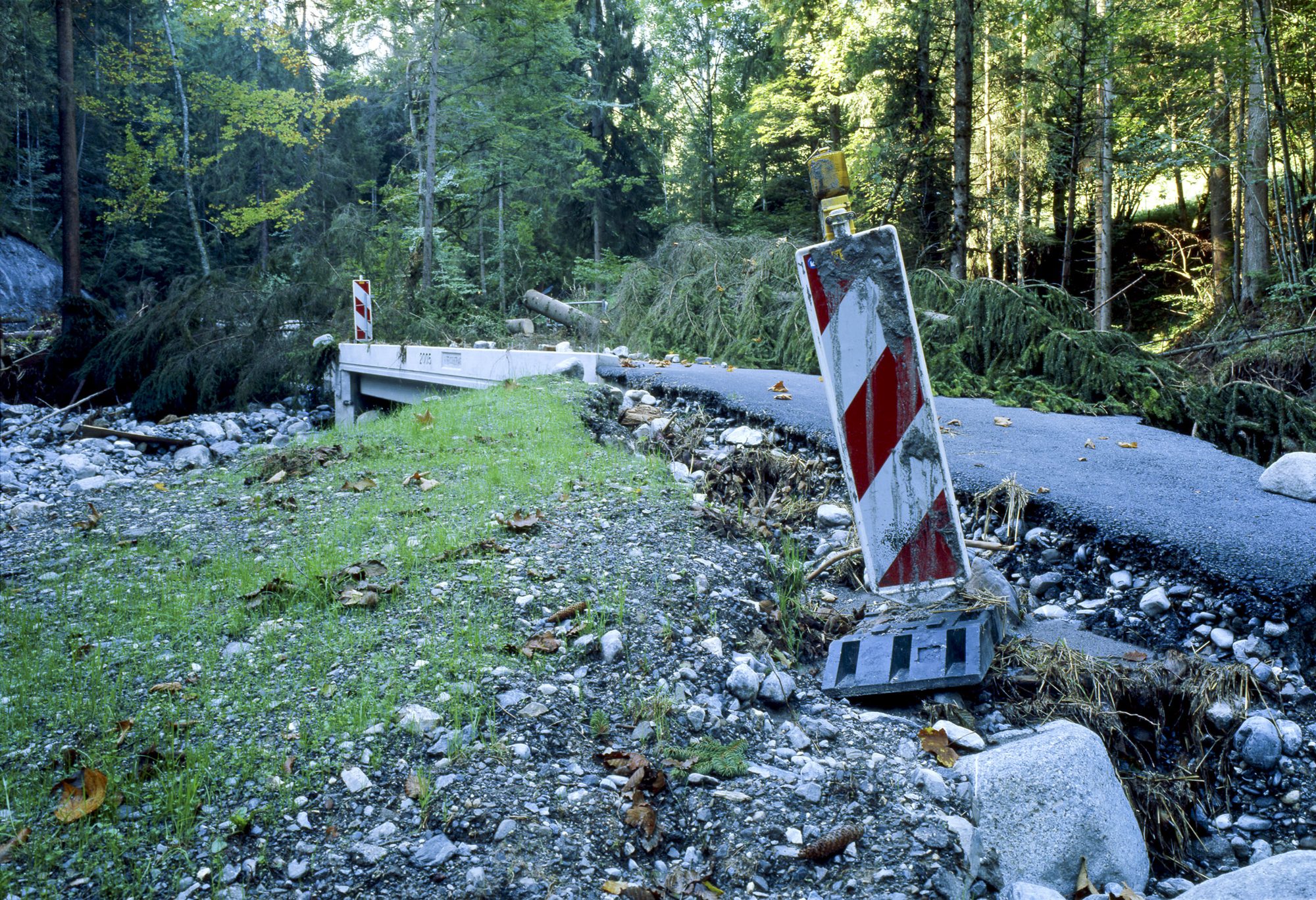 Diemtigtal