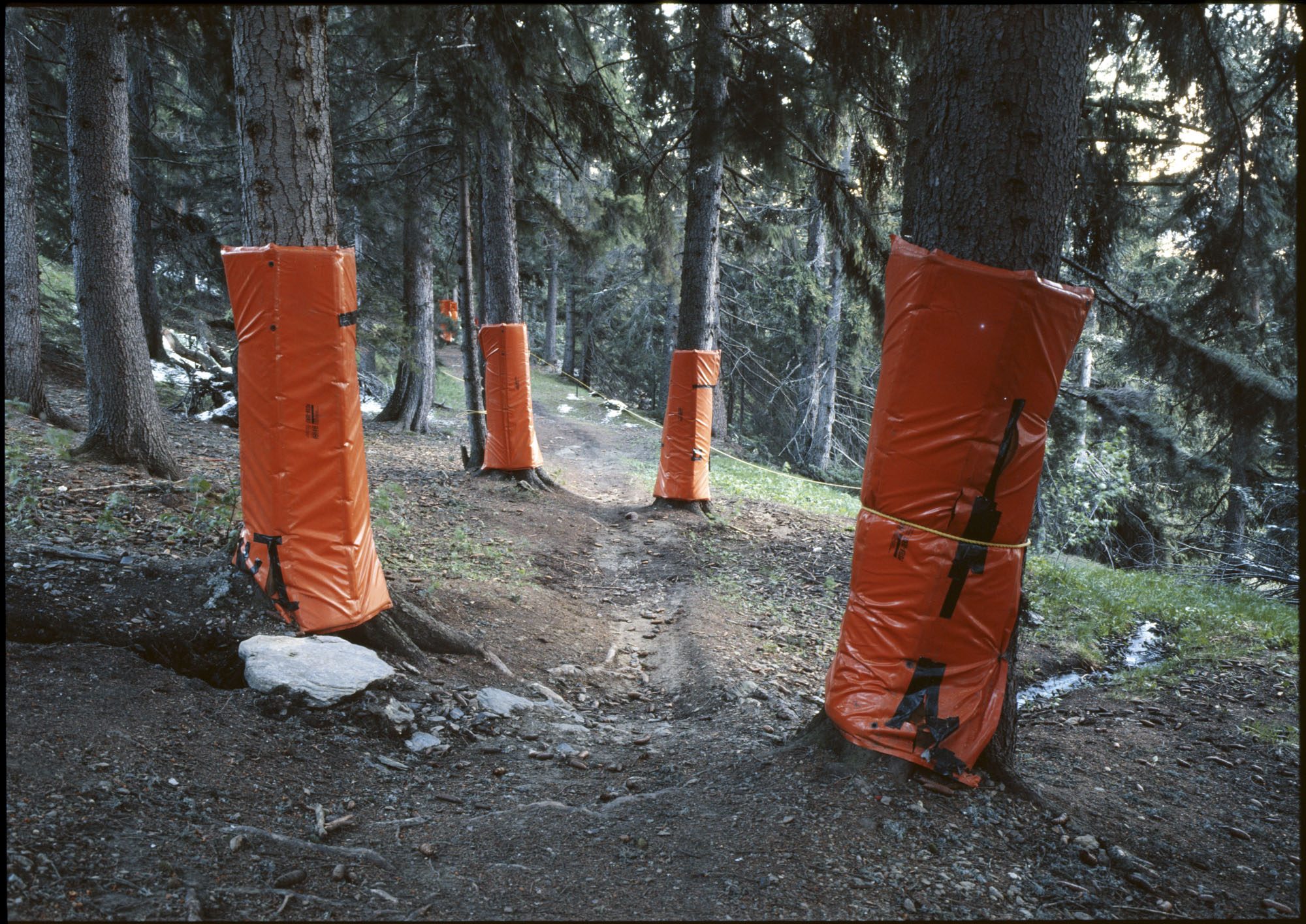Impacts — Landscapes in a Changing Climate, image 18
