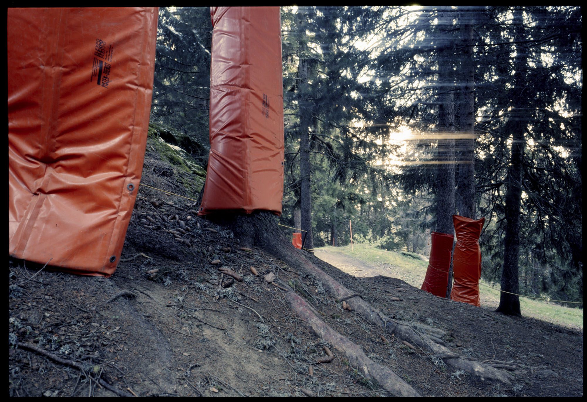 Impacts — Landscapes in a Changing Climate, image 17