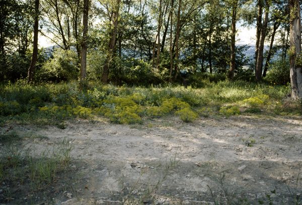Impacts — Landscapes in a Changing Climate, image 11