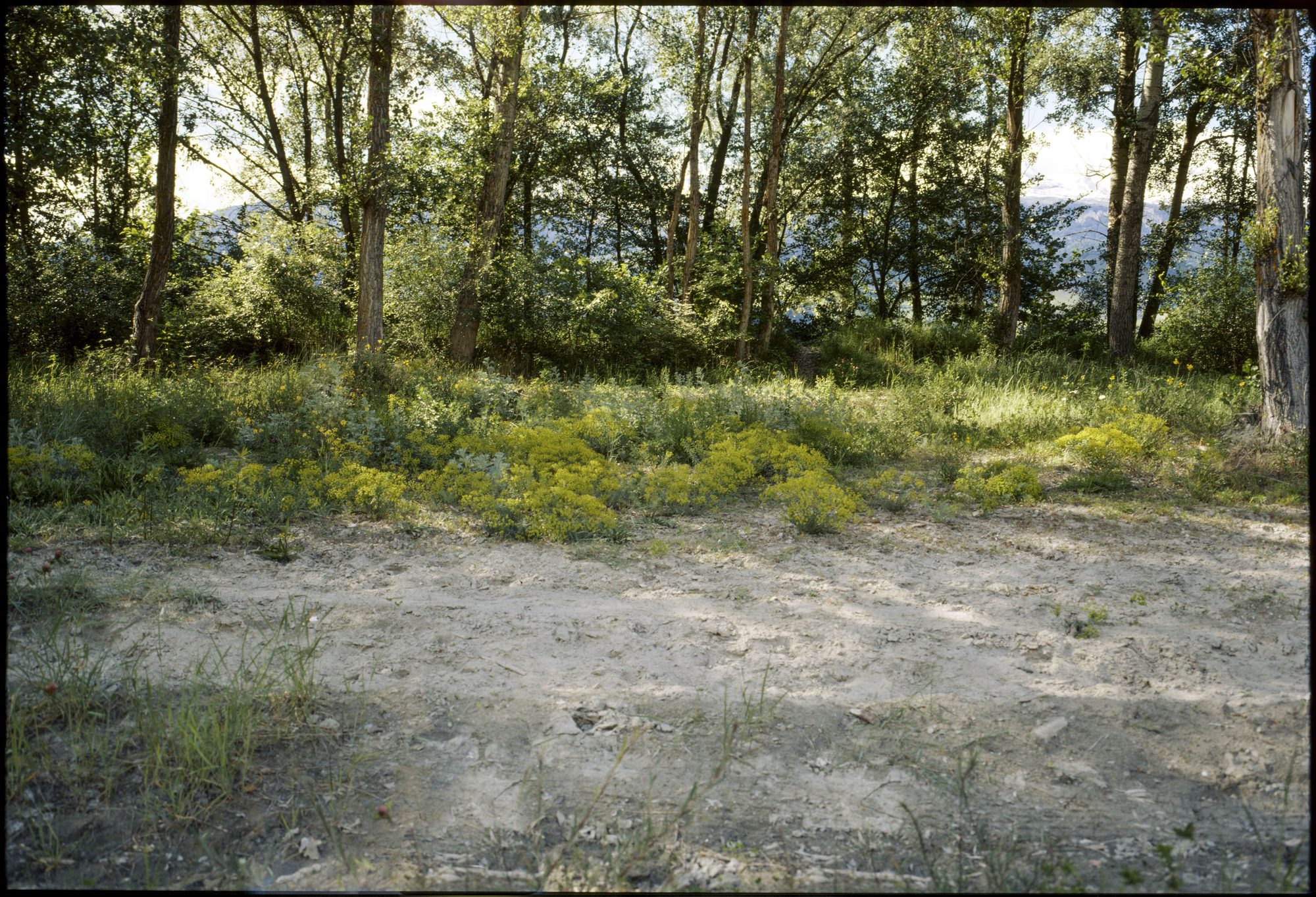 Impacts — paysages et changement climatique, image 11
