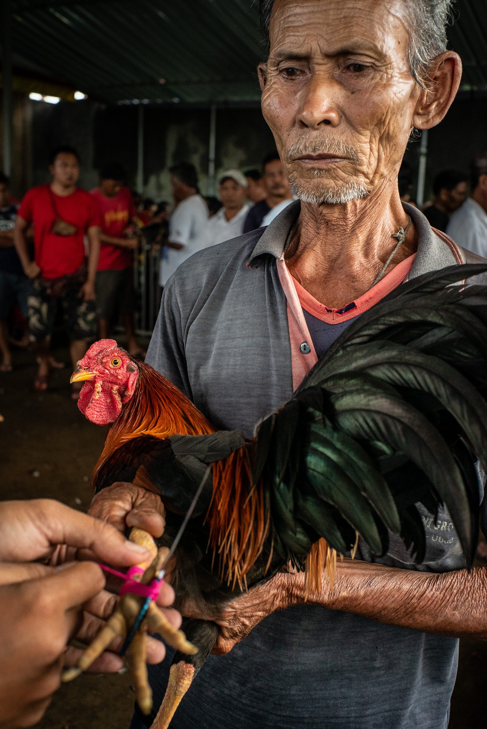 Indonesia, image 11