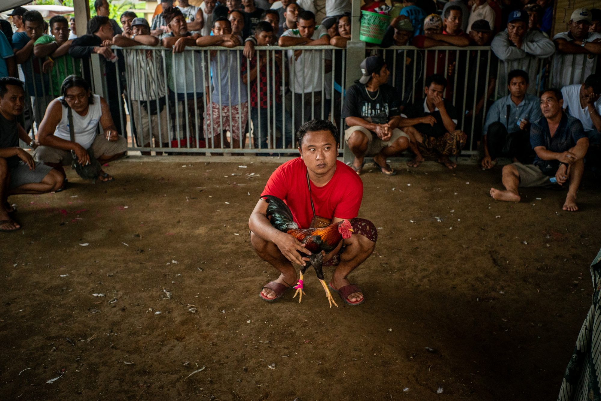 Indonesia, image 13