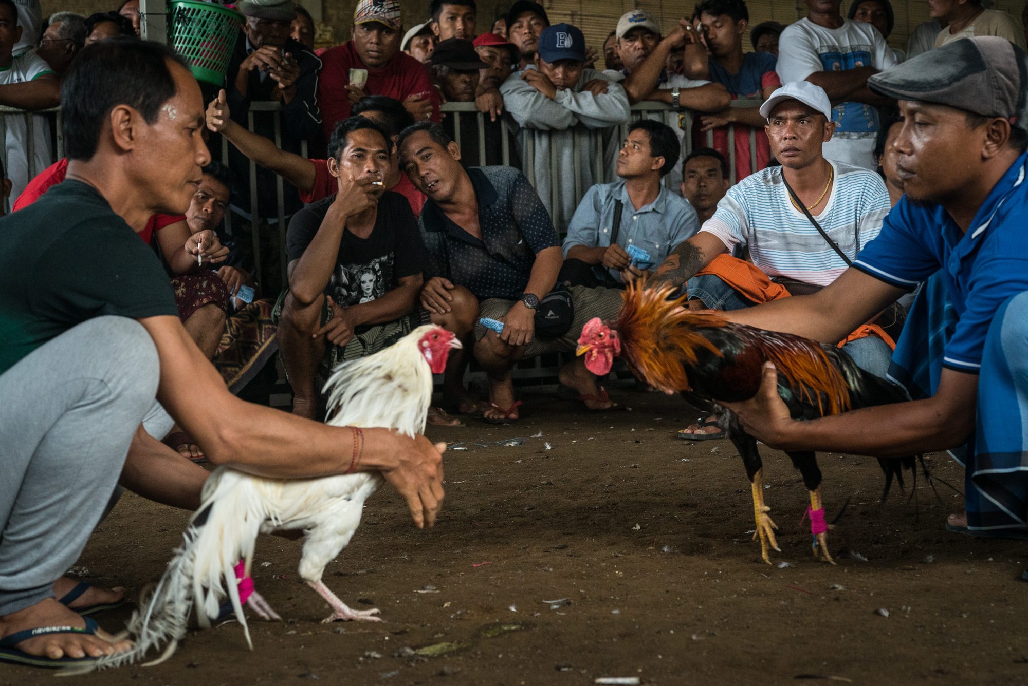 Indonesia, image 14