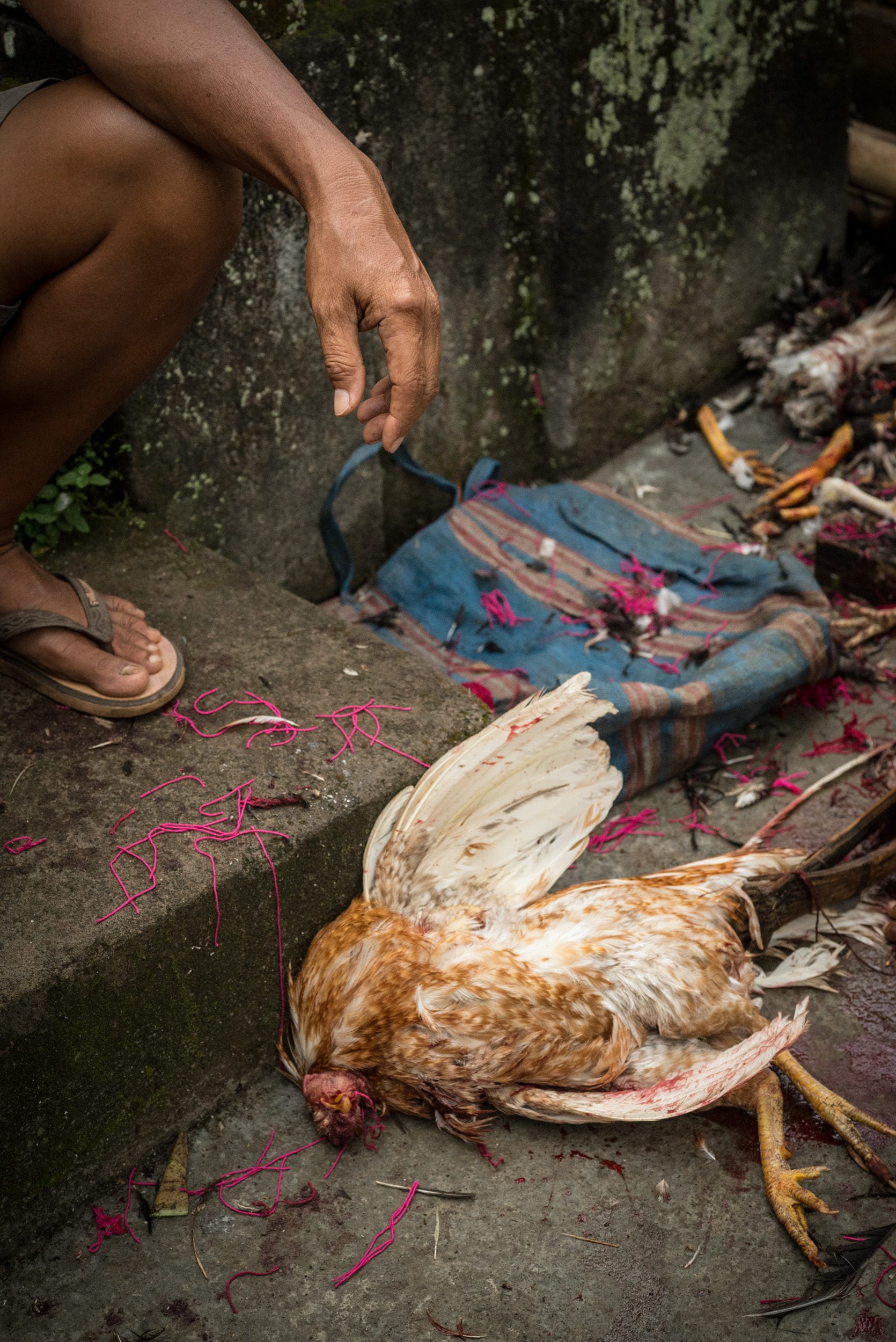 Indonesia, image 18