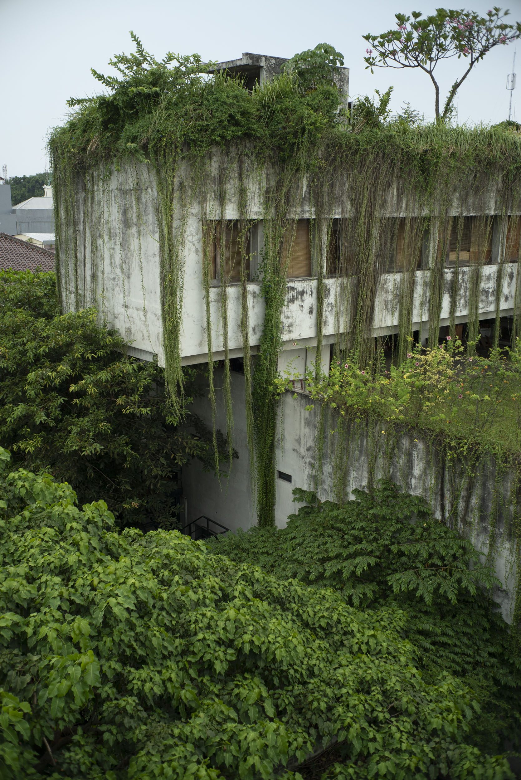 Indonesia, image 3