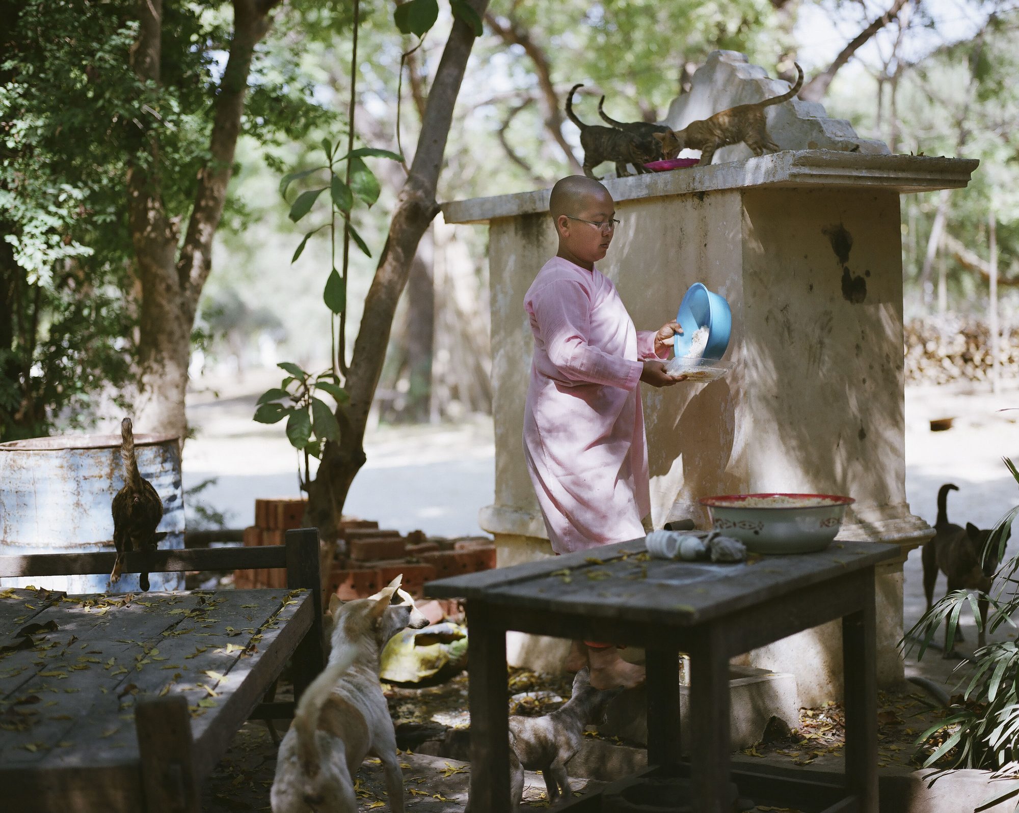Insights, image 11