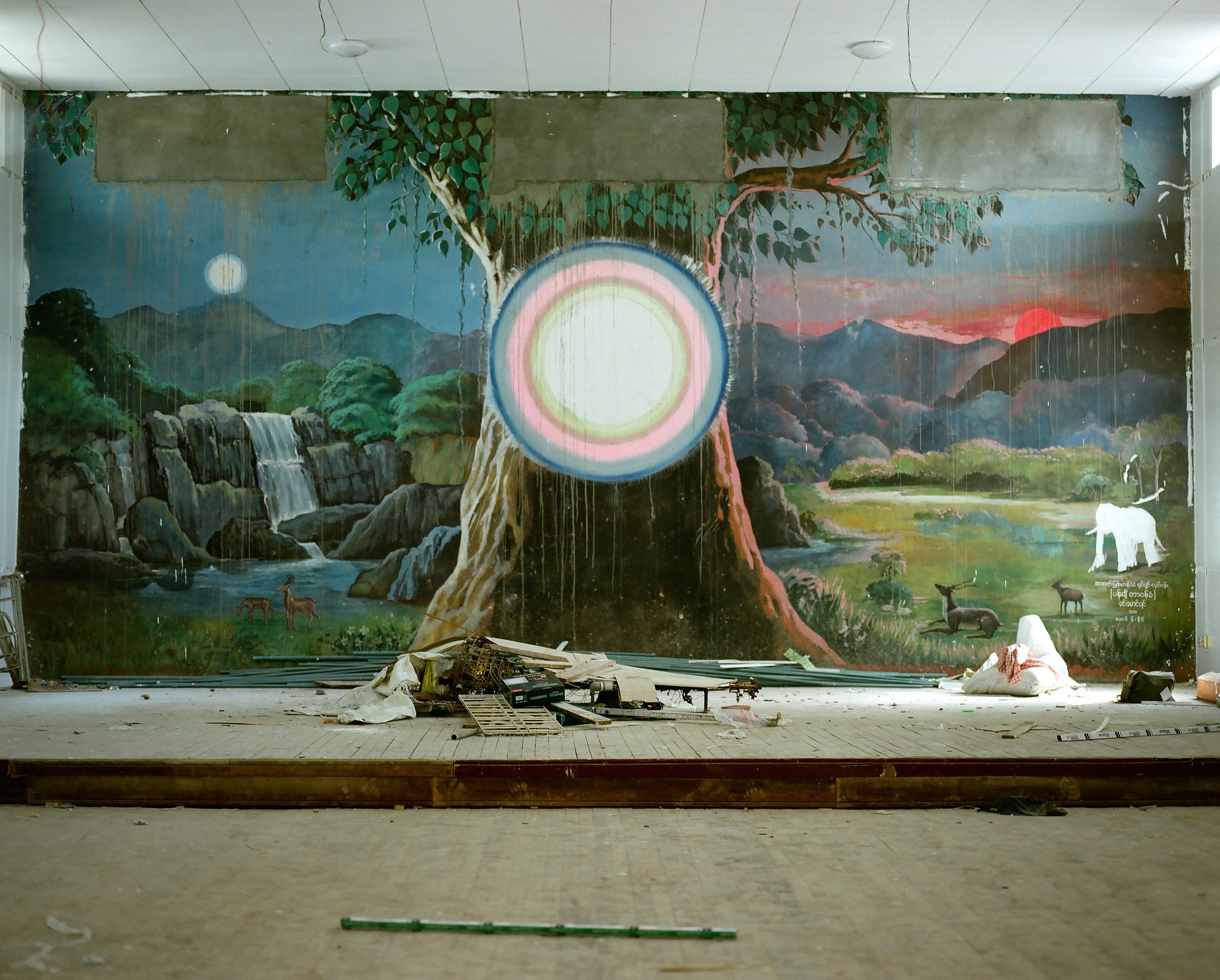 Insights, image 20