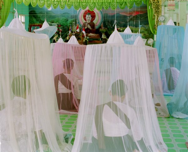 Insights, image 31