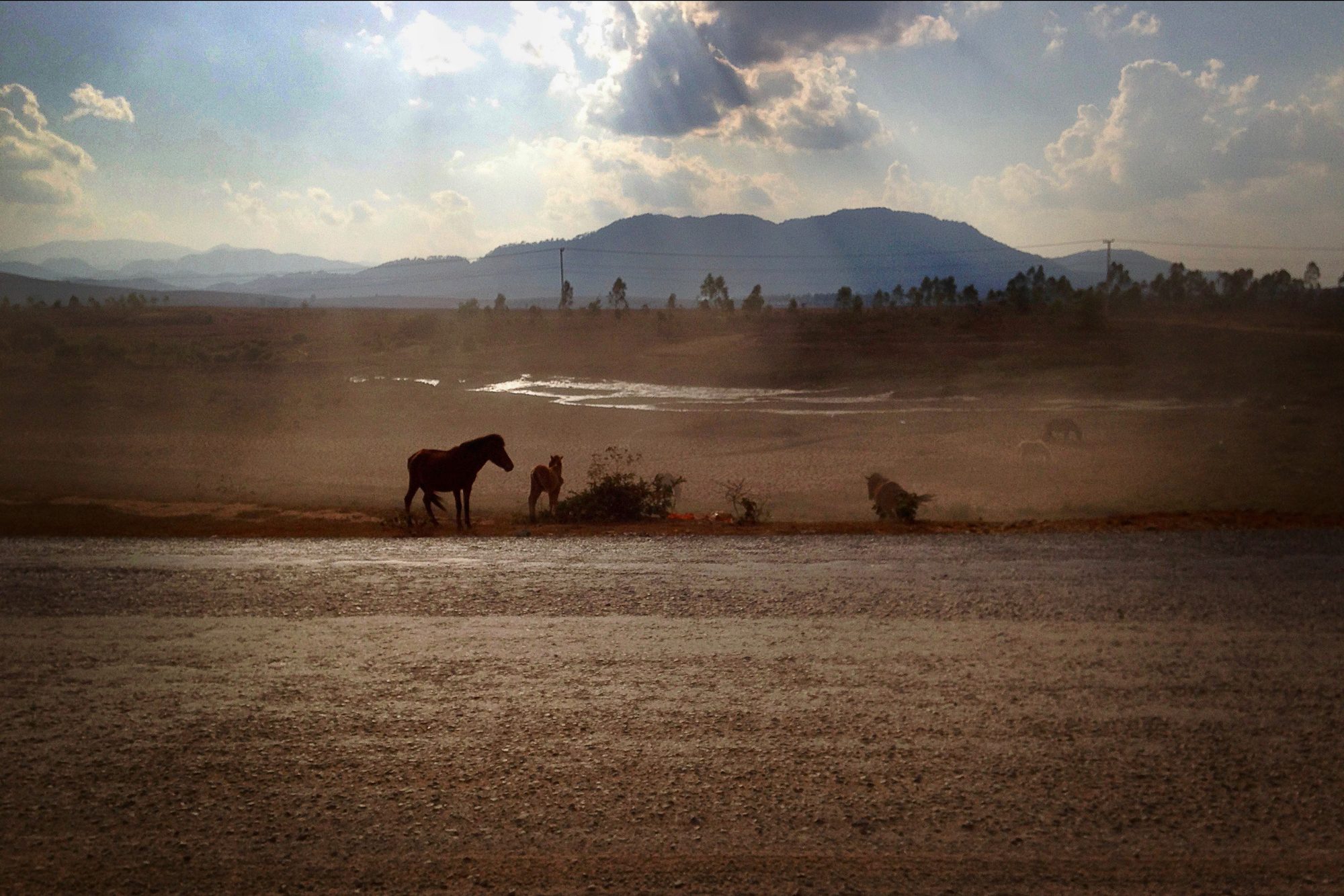 Laos, image 14
