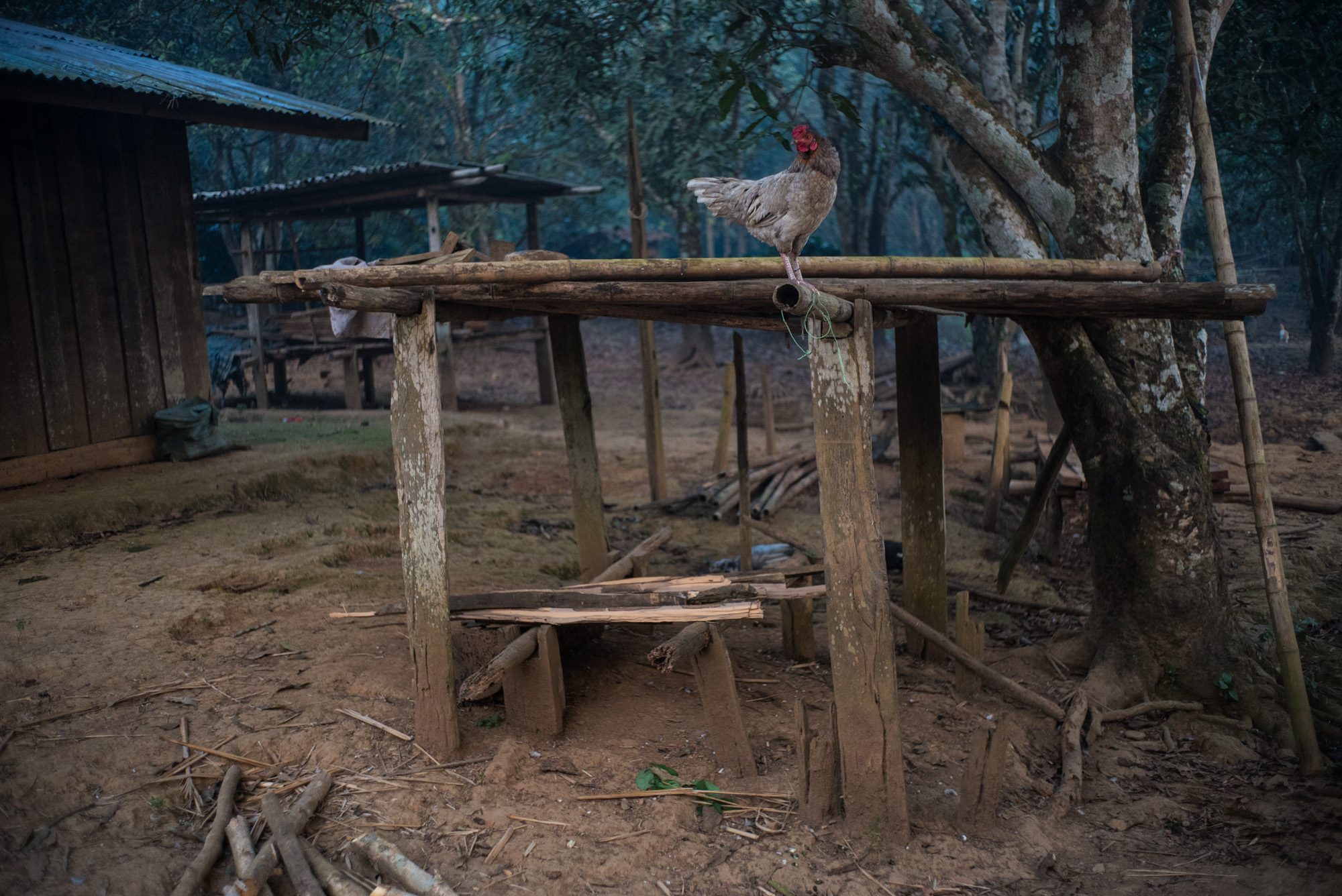 Hmong village, Luang Prabang Province