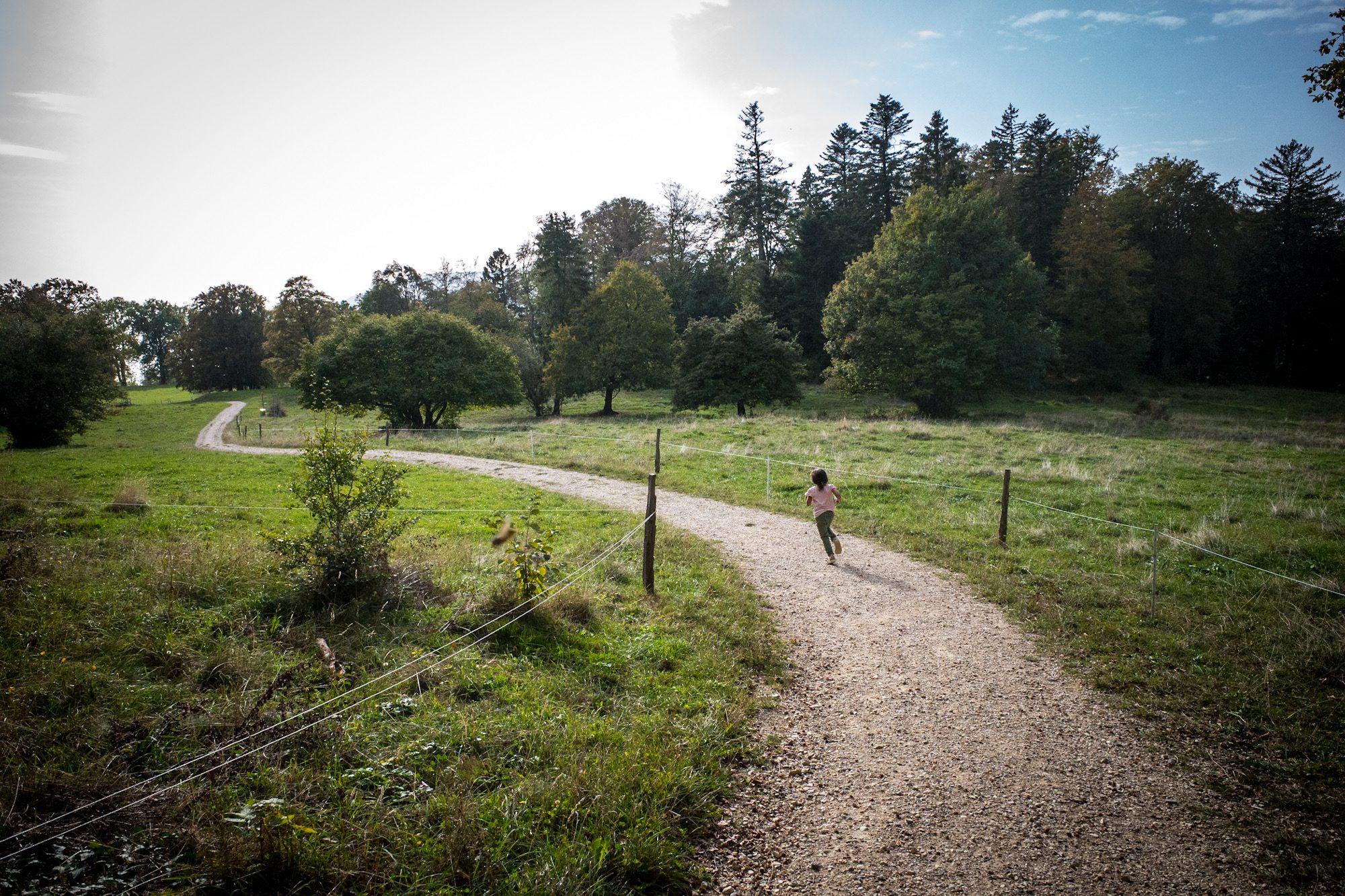 Swiss Seasons, image 6