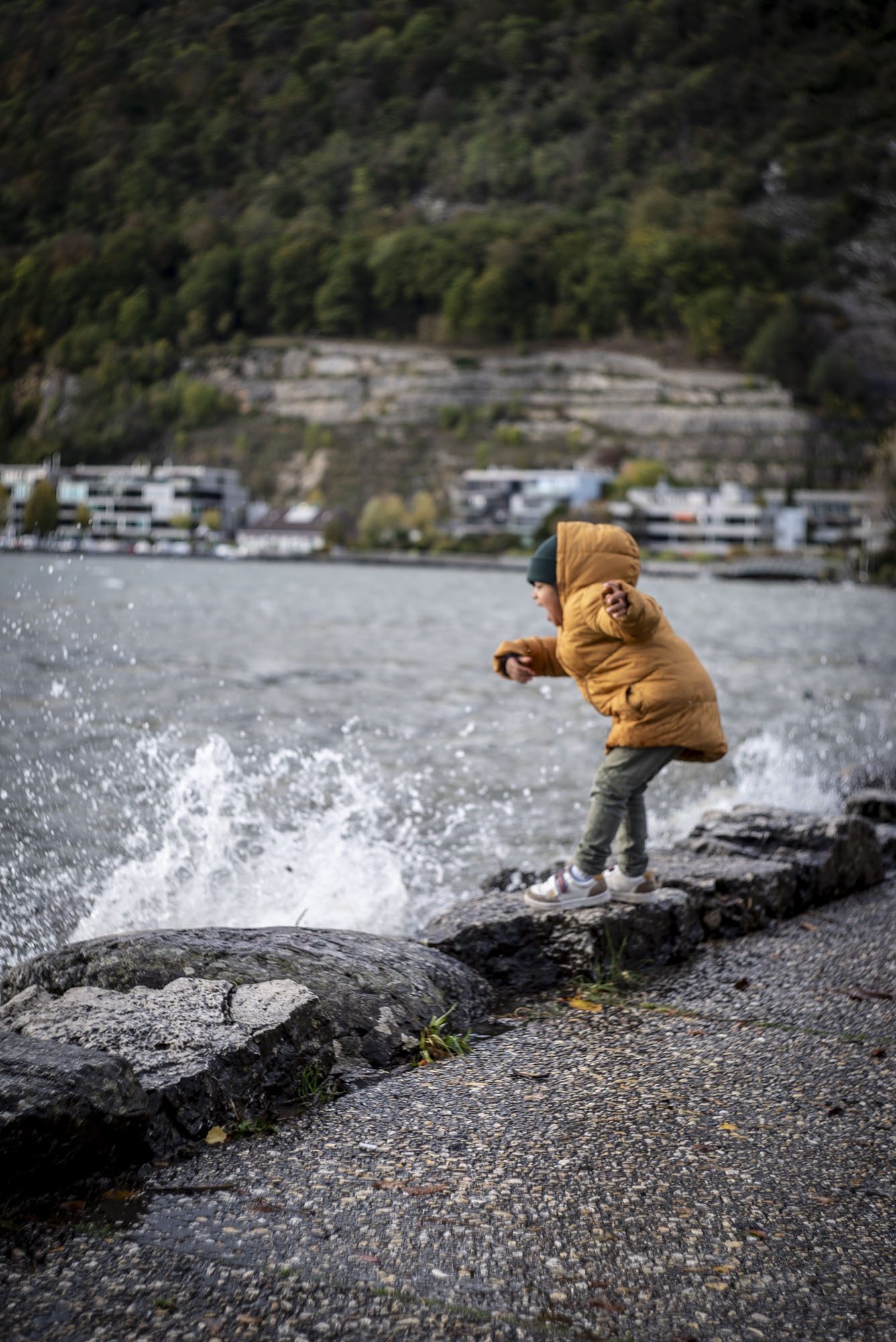 Swiss Seasons, image 4