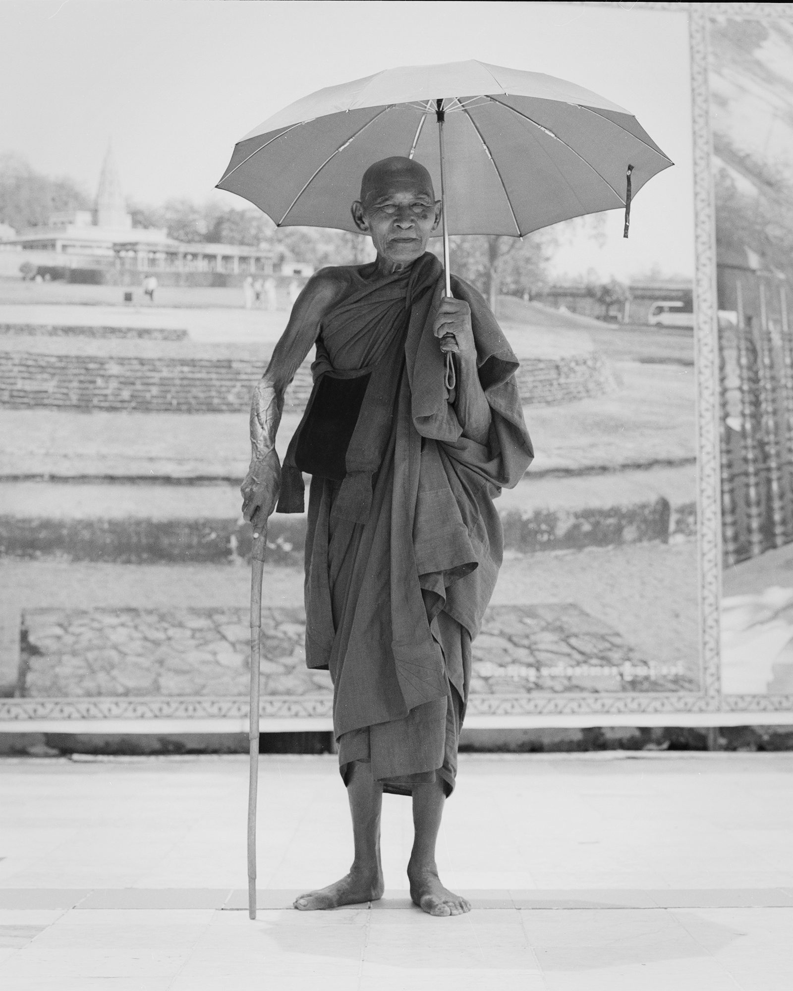 Venerable Sayadaws, image 6