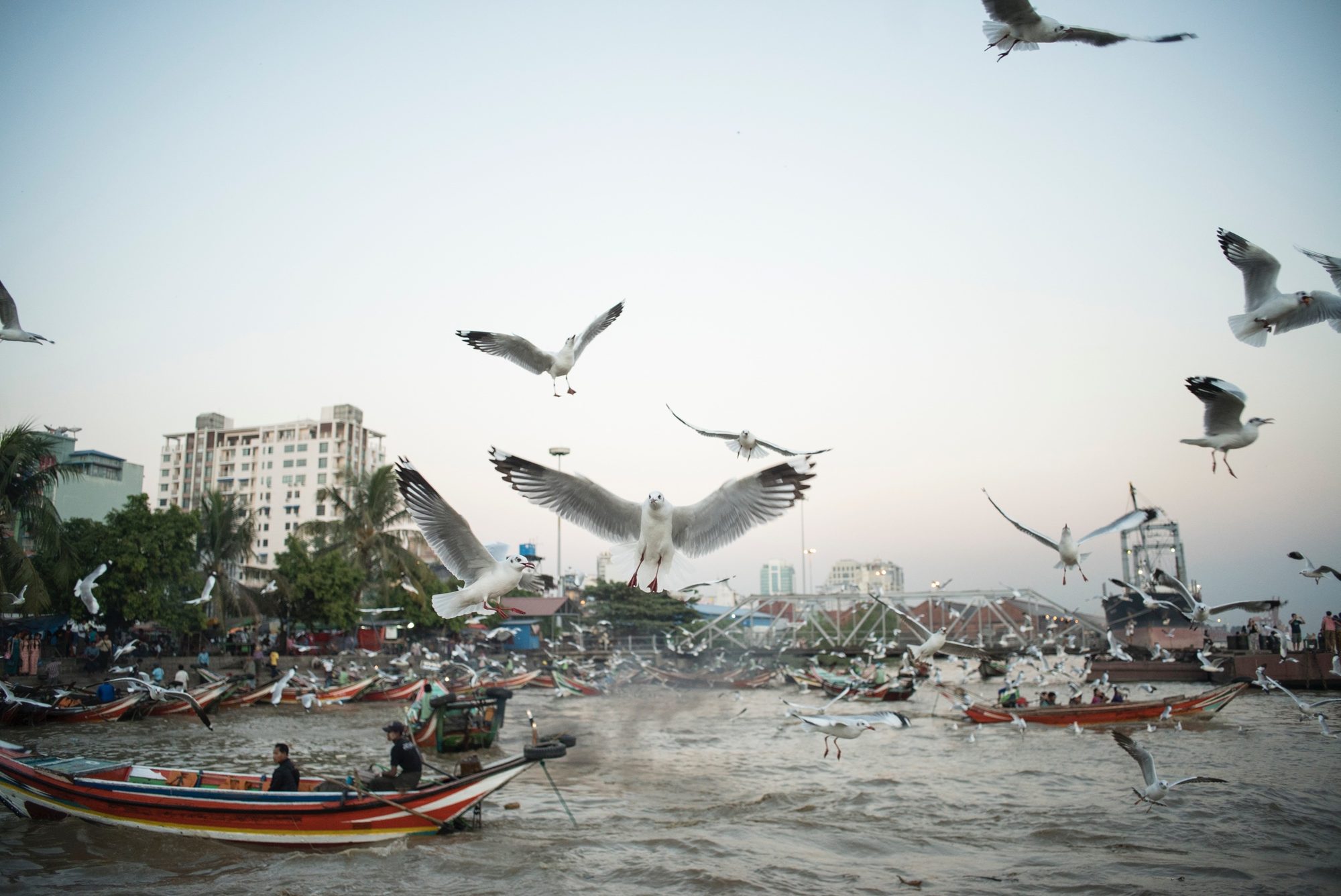 Yangon, image 8