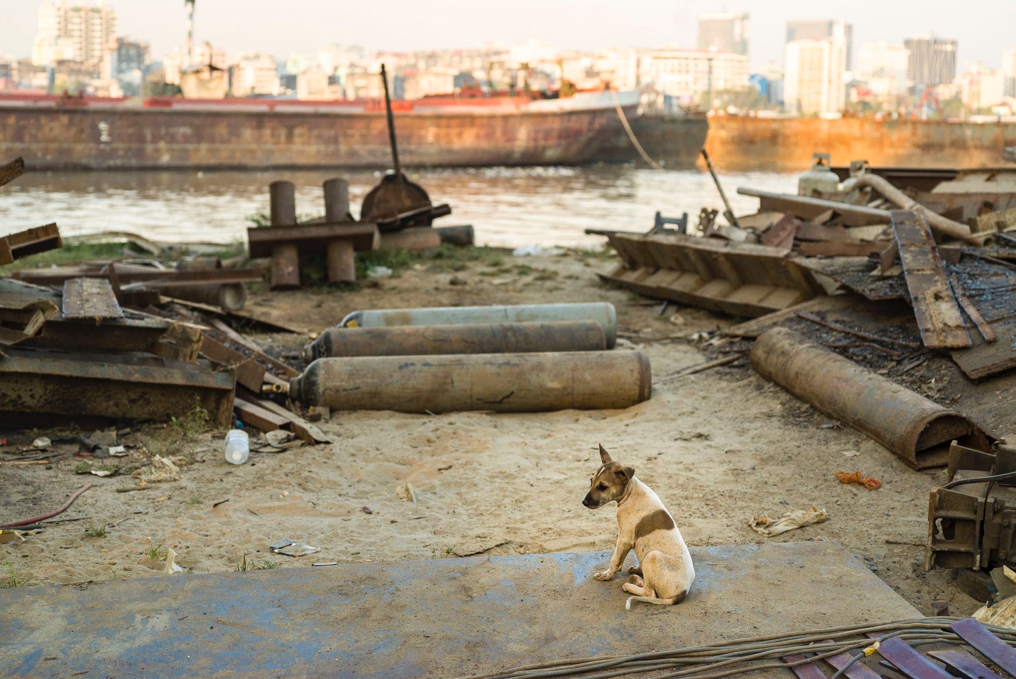 Yangon, image 13